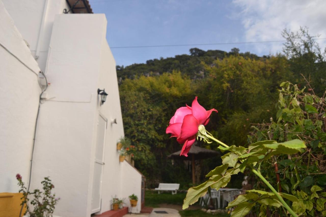 Casa La Cascada Сasa de vacaciones *